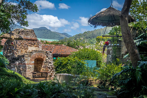 istock Macaw in colonial convent ruins with mountains 603899956