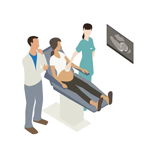 Vector illustration of Sonogram ultrasound illustration