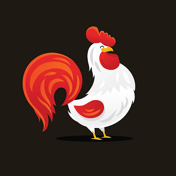 Drawing Of A Beautiful Rooster Stock Illustration - Download Image Now -  Alarm Clock, Animal, Animal Body Part - iStock