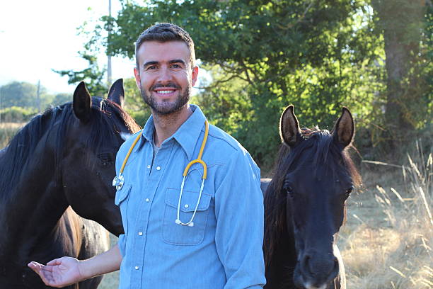 istock Handsome male vet smiling close horses 603901740