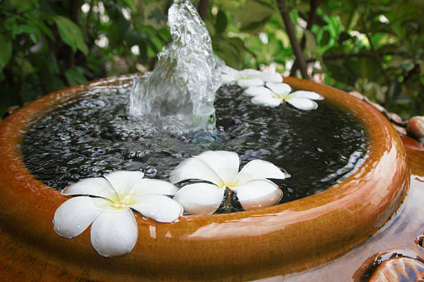 istock Plumeria flower in water with selective and soft focus. 603903594