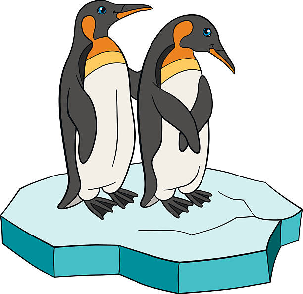 Arctic And Antarctic Animals Birds. Vector Illustration Illustrations,  Royalty-Free Vector Graphics & Clip Art - iStock