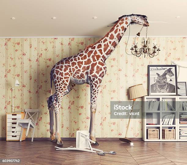 Jirafa En La Sala De Estar Foto de stock y más banco de imágenes de Humor - Humor, Animal, Jirafa