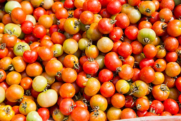 istock Organic tomatoes for sale 603908592