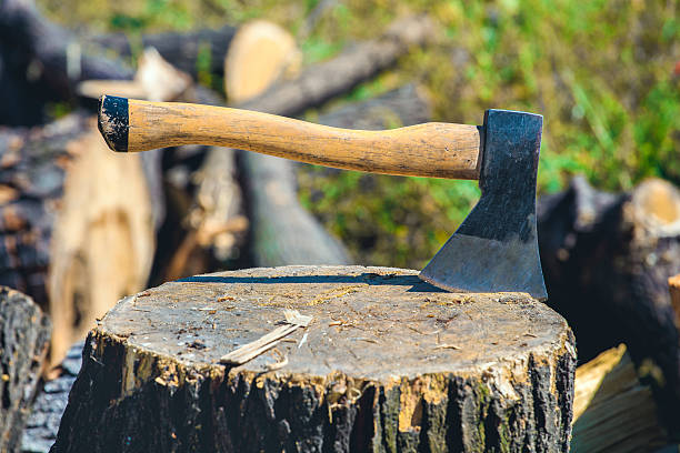 istock The ax stuck in a stump. 603908860