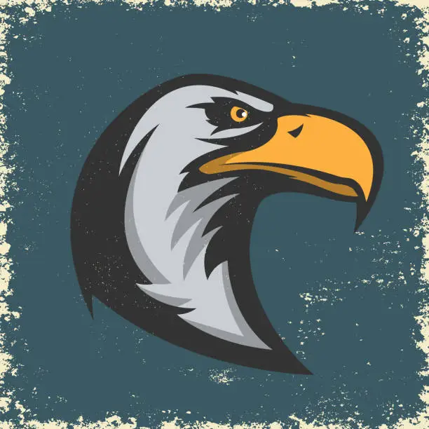 Vector illustration of Eagle head illustration on grunge background. Design element