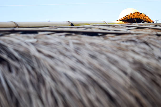 istock hat made of dry grass,on dry grass roof 603986046