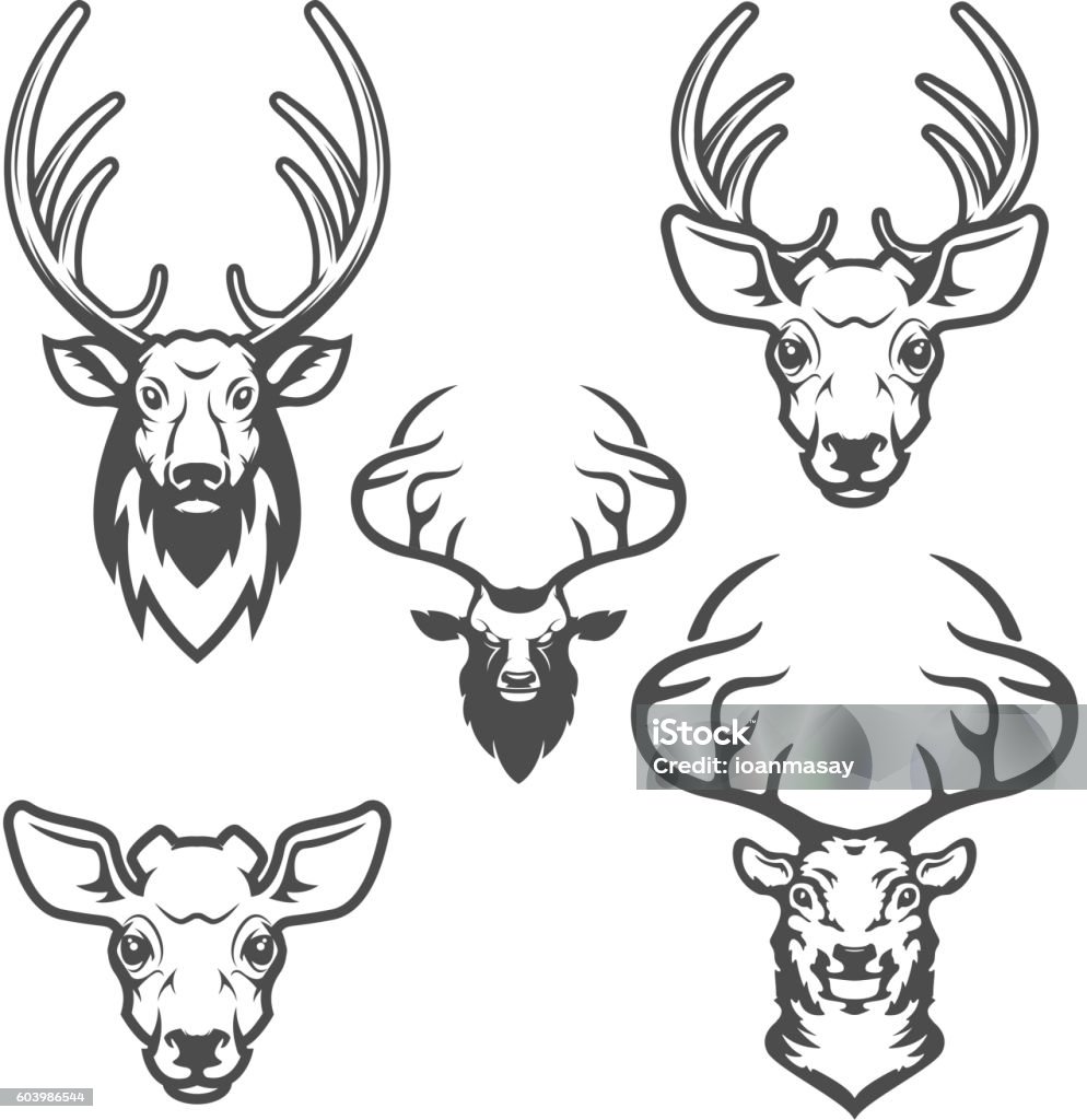 set of deer heads isolated on white background. Design elements set of deer heads isolated on white background. Design elements for label, emblem, sign, brand mark. Vector illustration. Deer stock vector