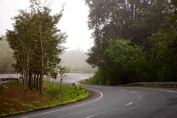 istock Foggy Road on the morning. 603988268