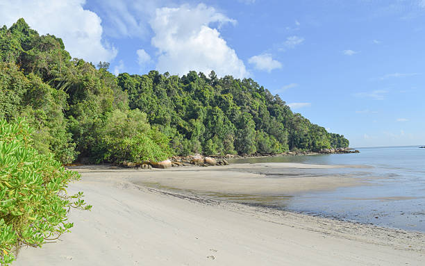 istock Penang island nature. Malaysia 603989562