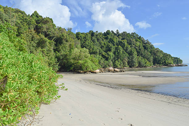 istock Penang island nature. Malaysia 603990184