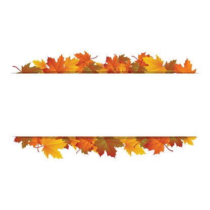 Autumn leaves around blank rectangle. Vector banner.