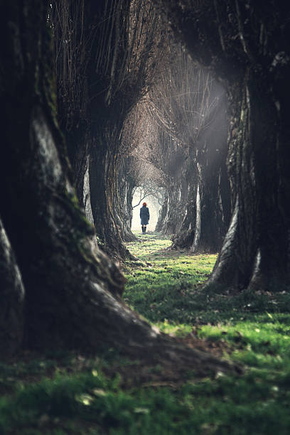 istock woman walking in mystic dark forest 603994370