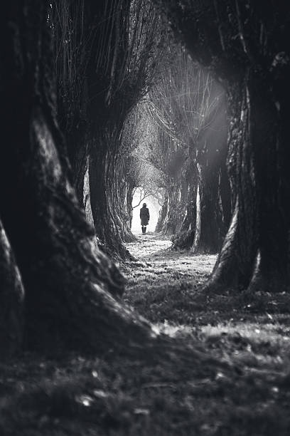 istock woman walking in mystic dark forest 603995120