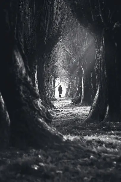woman walking in mystic dark forest