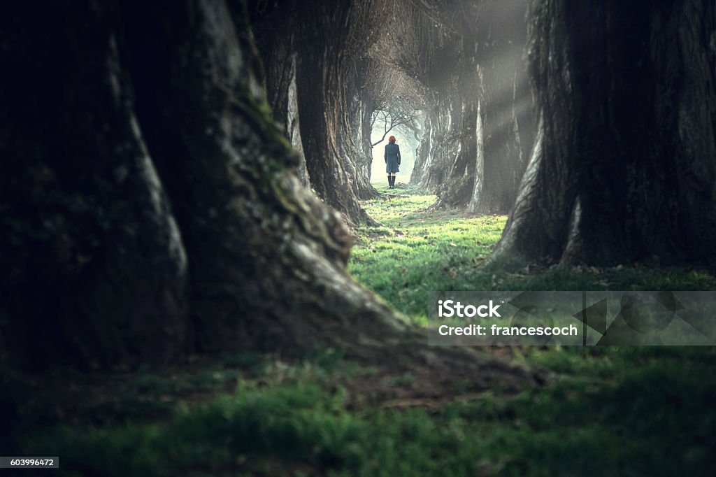 Mujer caminando en el bosque profundo mágico místico - Foto de stock de Mujeres libre de derechos