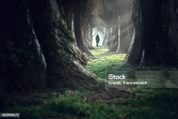 Mujer Caminando En El Bosque Profundo Mágico Místico Foto de stock y más banco de imágenes de Mujeres