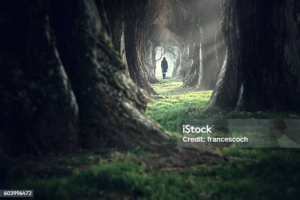 Woman Walking In The Mystic Magic Deep Forest Stock Photo - Download Image Now - Forest, Women, One Woman Only