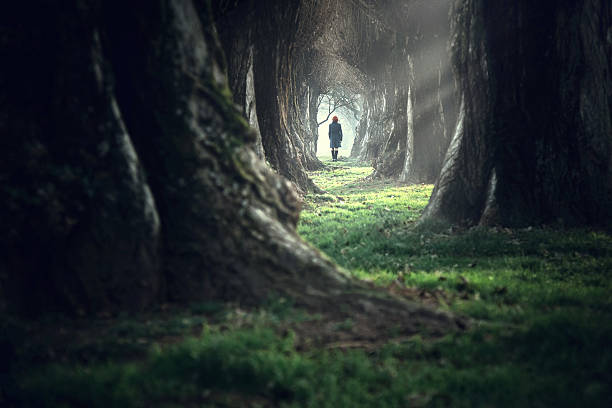 woman walking in the mystic magic deep forest - lonely tree fotos imagens e fotografias de stock