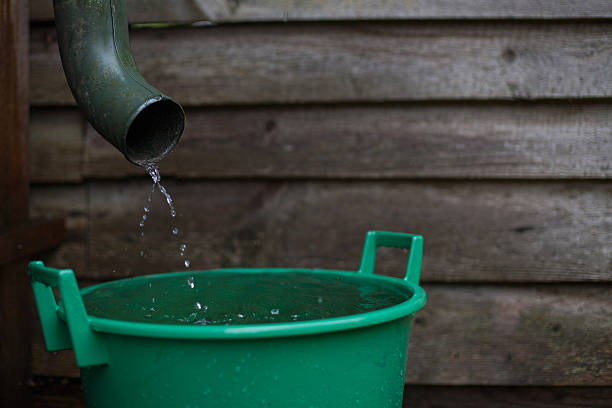 istock Rainwater shooting from a gutter into a water collecting reservoir 603997656