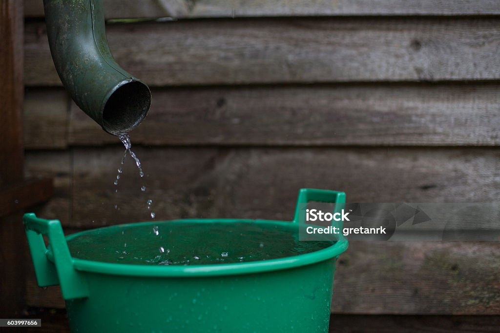Rainwater shooting from a gutter into a water collecting reservoir Rainwater, Pouring, Gutter, Collectiong, Reservoir Water Stock Photo