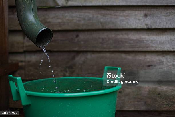 Rainwater Shooting From A Gutter Into A Water Collecting Reservoir Stock Photo - Download Image Now