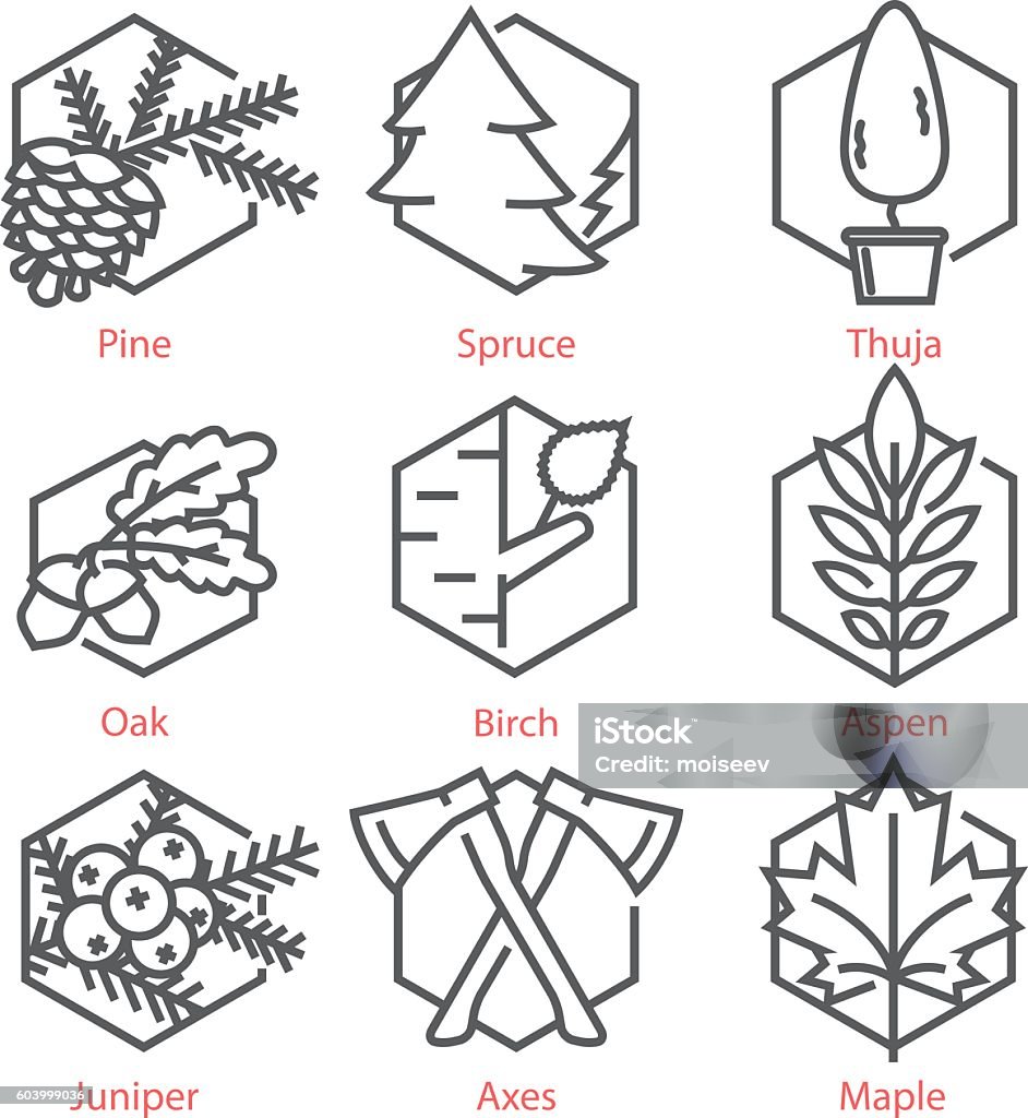 Icônes vectorielles de lignes minces définies avec des arbres pour la nature - clipart vectoriel de En sapin libre de droits