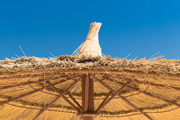 istock Sunshade umbrellas on the beach 604003606