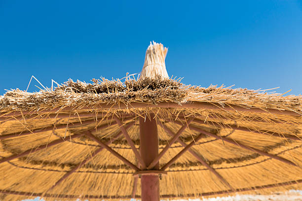 istock Sunshade umbrellas on the beach 604003764