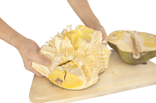 Male hand spreading Jackfuit over cutting board in half isolated on white.