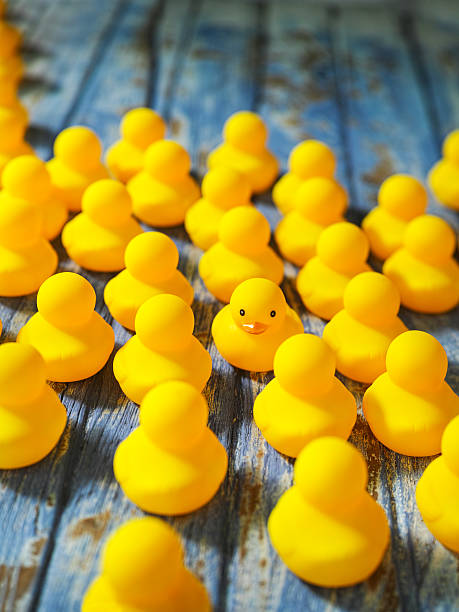 istock Crowd of rubber ducks, one going in the opposite direction. 604006272