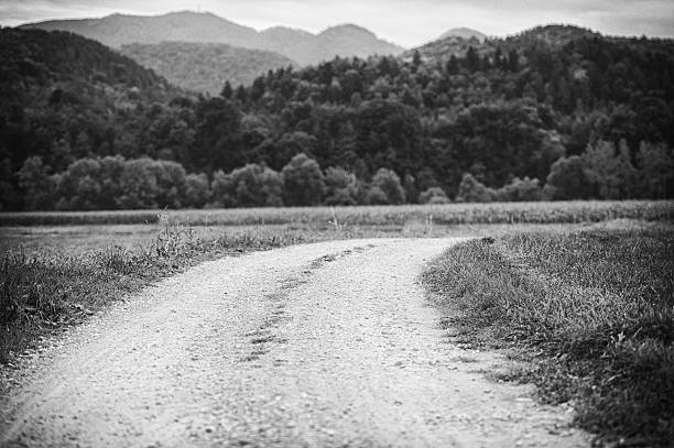 Dirt road in black and white