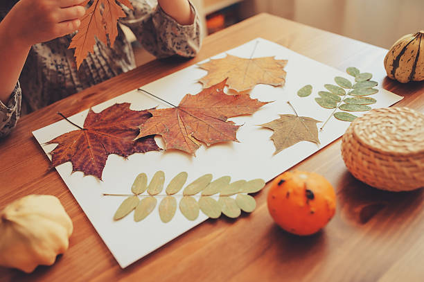 istock preparations for autumn craft with kids at home. 604012080