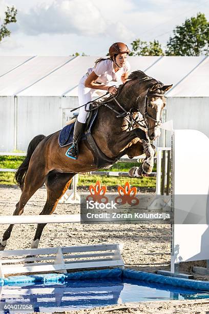 Jockey Com Seu Cavalo Pulando Sobre Um Obstáculo Imagem de Stock