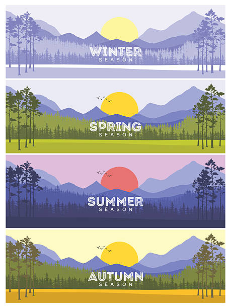 banery four seasons z abstrakcyjnymi drzewami - ilustracja wektorowa - falling vertical green grass stock illustrations