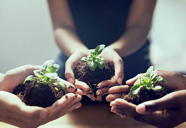 istock Green is a way of life 604020786