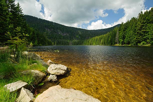 istock Mountain lake in Sumava 604021508
