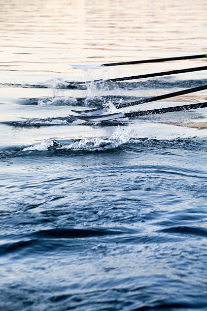 remo remos na água - oar rowing sport rowing team - fotografias e filmes do acervo