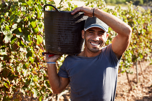 Portrait of happy farmer carrying container in vineyard