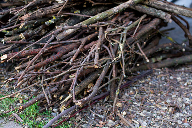 trockene loppings - holzstock stock-fotos und bilder