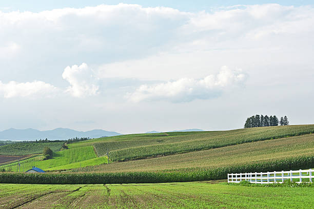 Scenery of Biei