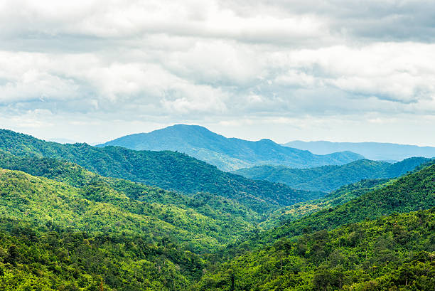 istock Green forest on mountain range landscape on cloudy day. 604028602
