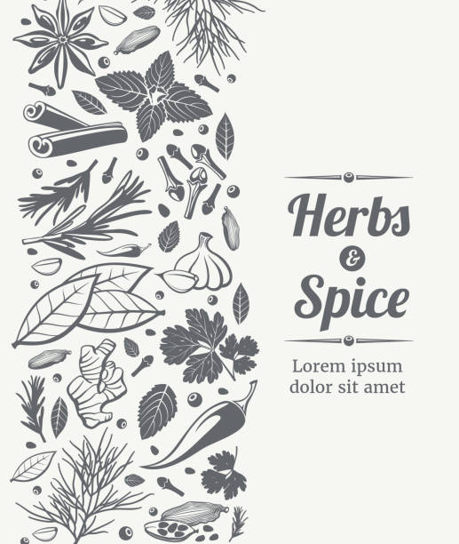 ilustrações, clipart, desenhos animados e ícones de ervas e especiarias de fundo decorativo - herb cooking garlic mint