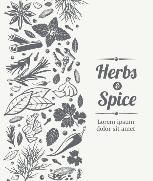 травы и специи декоративный фон - indian culture spice cooking herb stock illustrations