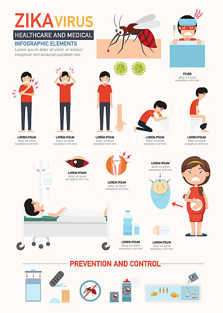 zika-virus infographics.vector - human joint illustrations stock-grafiken, -clipart, -cartoons und -symbole