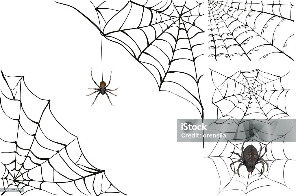 Web and black poisonous spider. Set Halloween accessory Web and black poisonous spider. Set Halloween accessory. Isolated on white vector illustration Spider stock vector