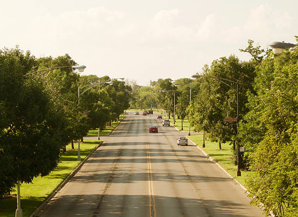 istock Humboldt Park Boulevard in Chicago 604040044