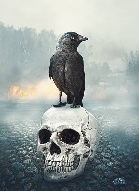 istock Black raven on the skull. Halloween scene 604043100