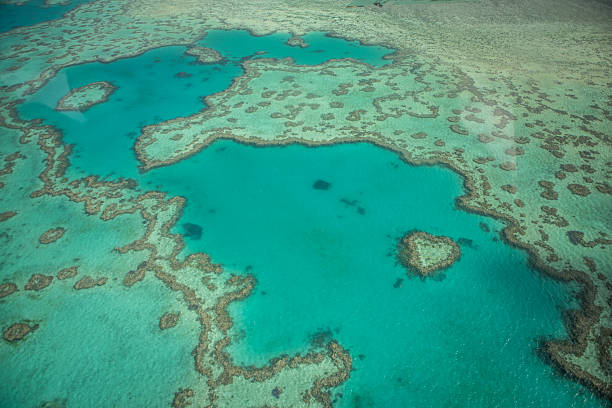 istock Heart reef, Great Barrier reef, Australia 604044200