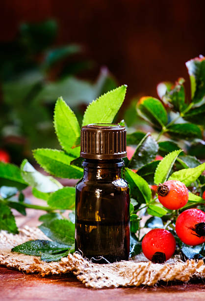 istock Essential oil of rosehip and fresh berries 604045216